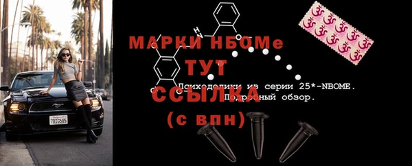 прущая мука Вяземский