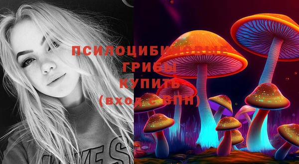 МДПВ Вязьма