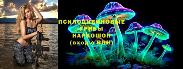 МДПВ Вязьма