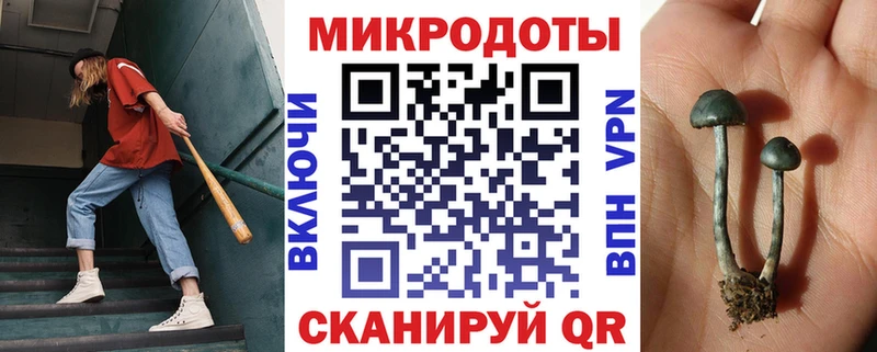 Псилоцибиновые грибы ЛСД  Купить закладки  Красный Кут 