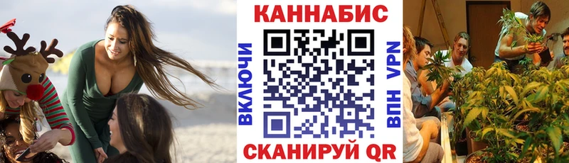 Канабис OG Kush  Купить где  Красный Кут 